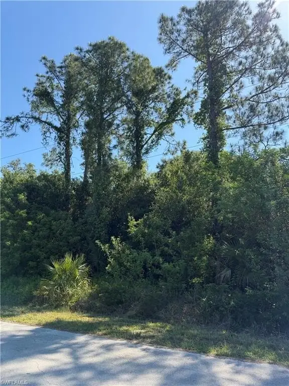 Picture 4