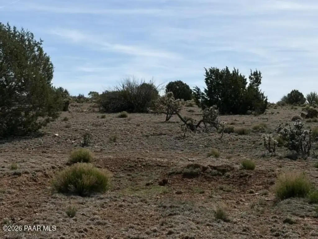Picture 10