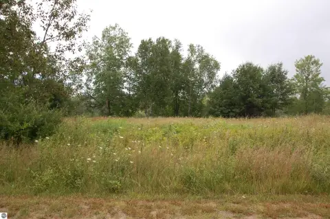 Residential Land Near Rifle River