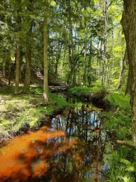 80 Acres Vacant Land