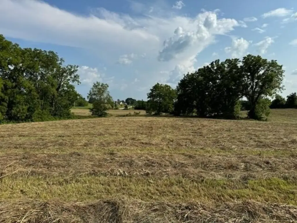Picture 19