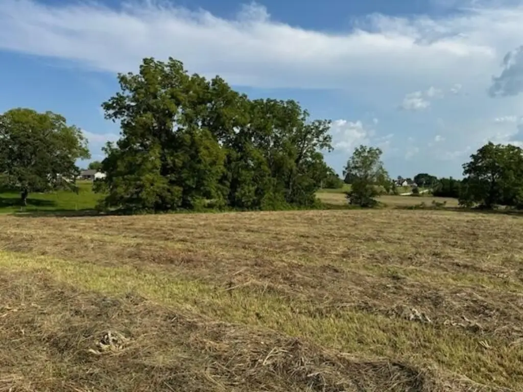 Picture 18