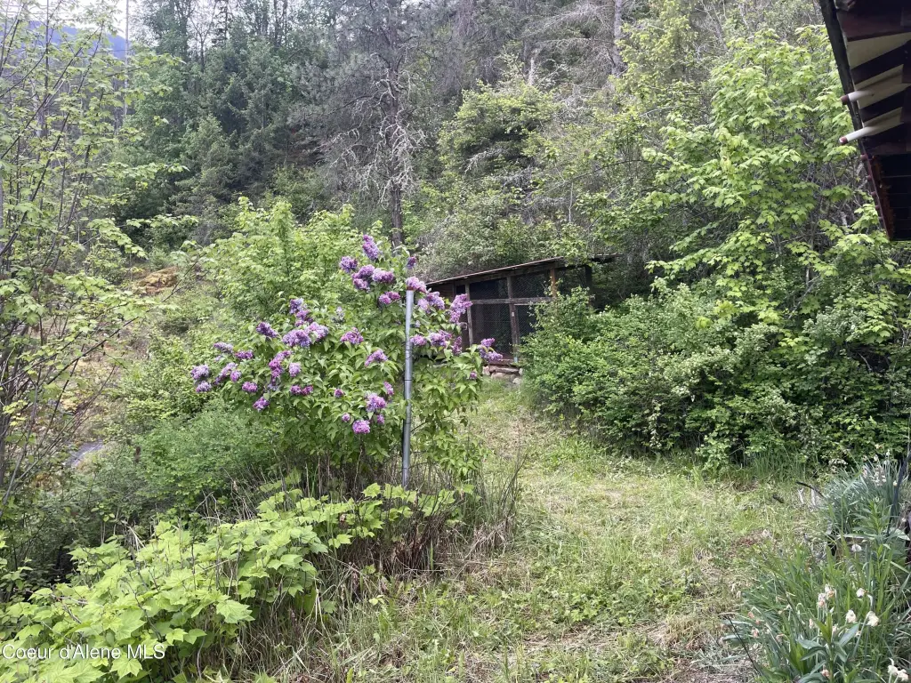 Picture 25