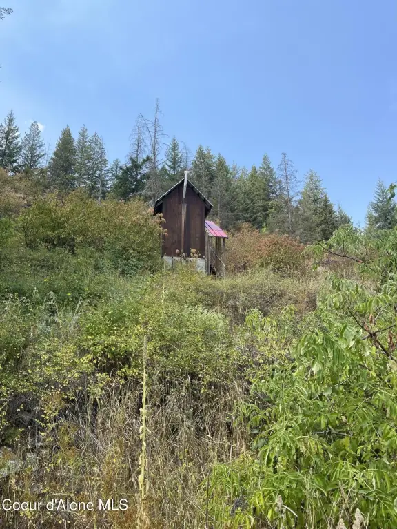 Picture 23