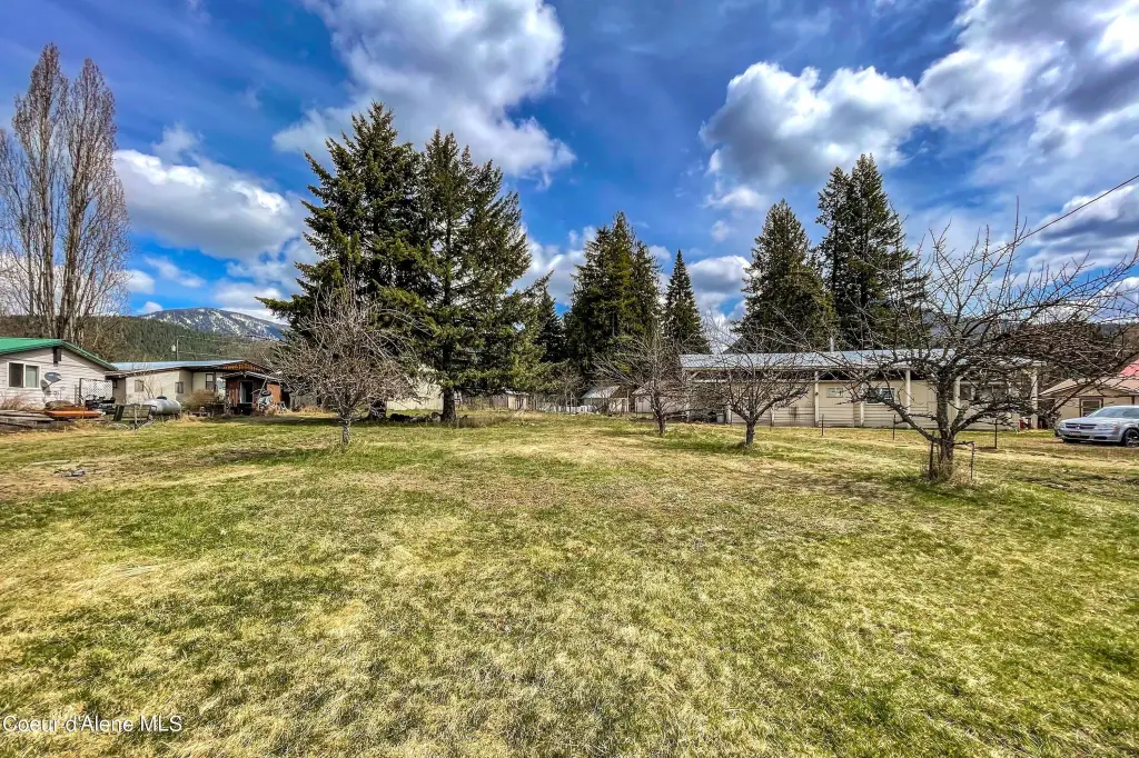 Picture 16