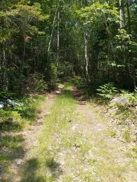 Wooded Land in Palermo, Maine