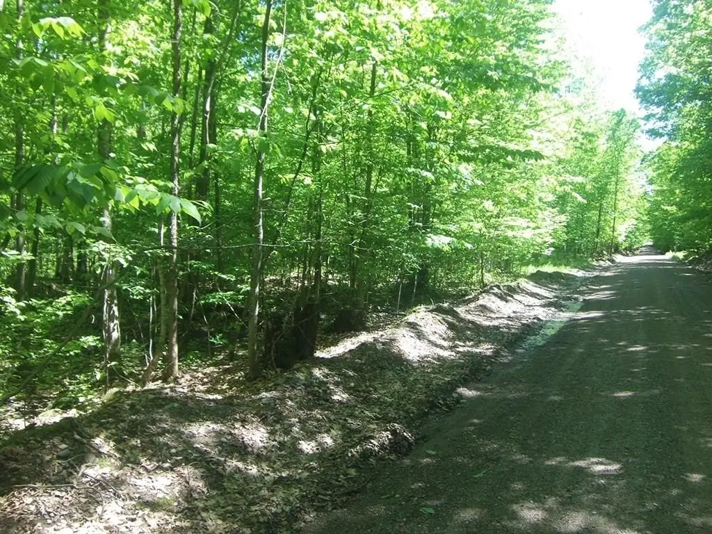 Picture 2