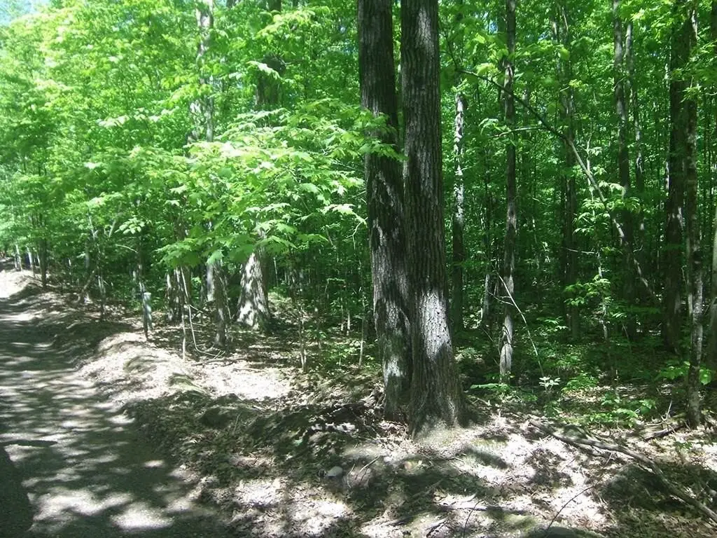 Picture 3