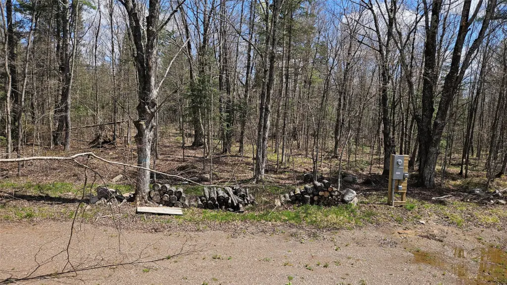 Picture 14