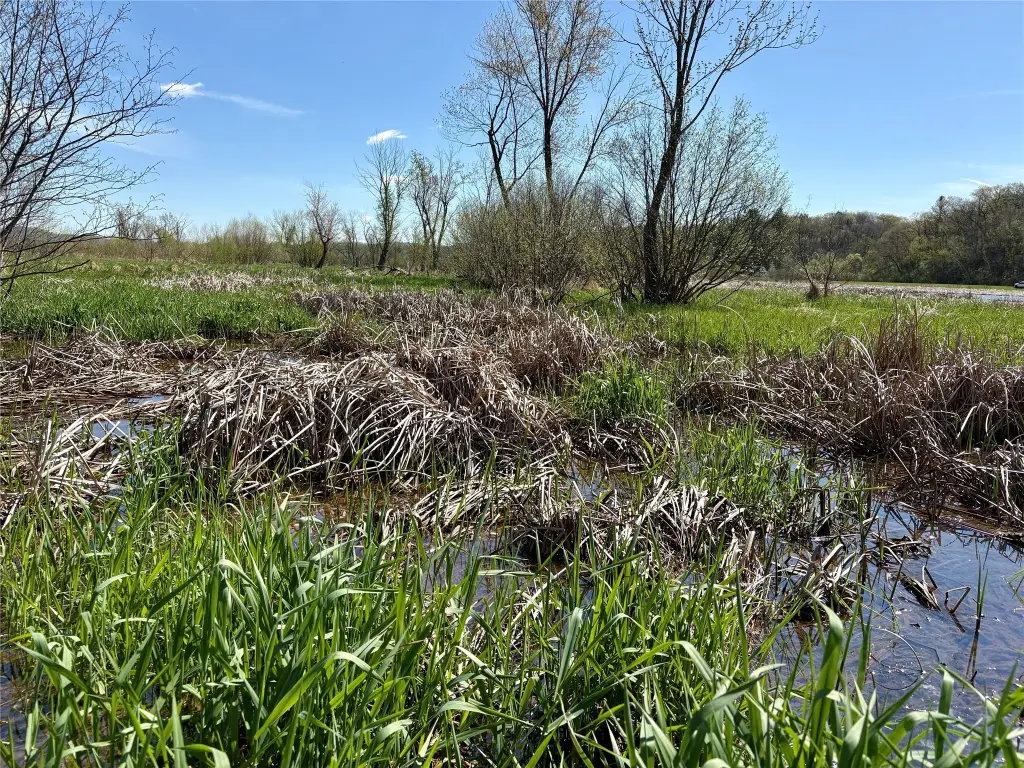 Picture 16
