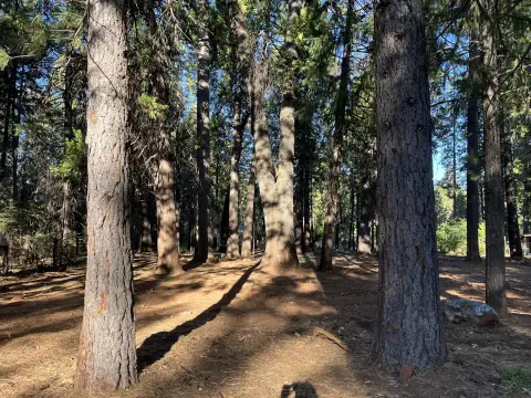 Shingletown Lot Near Lassen Park