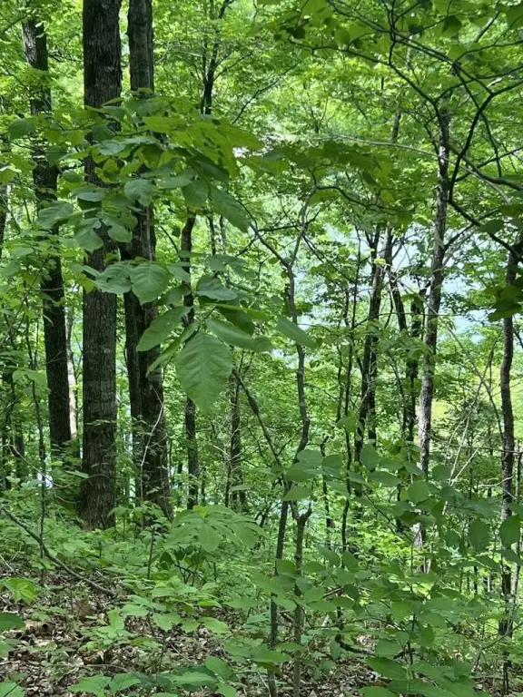 Picture 14