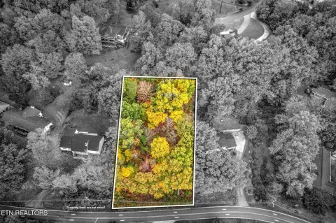 Wooded Lot in Fountain City