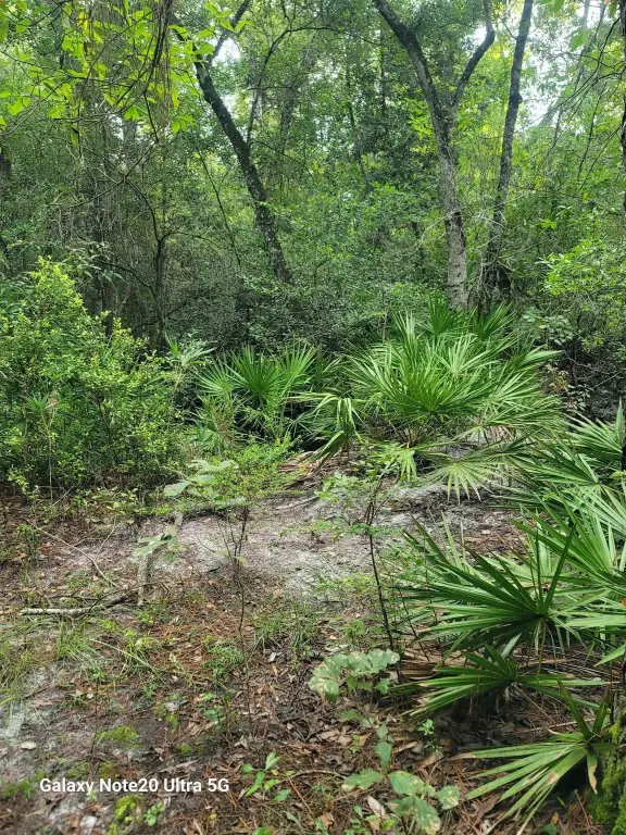 Picture 36