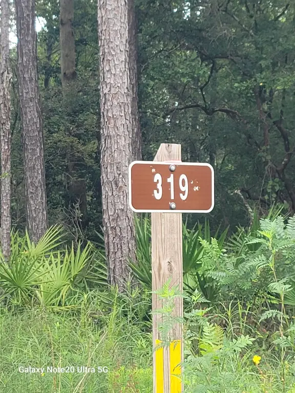 Picture 43