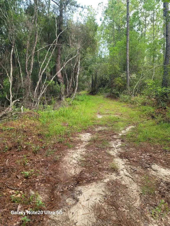 Picture 37