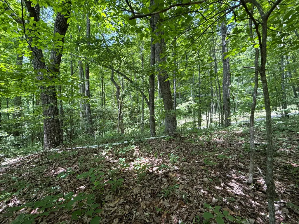 Picture 3