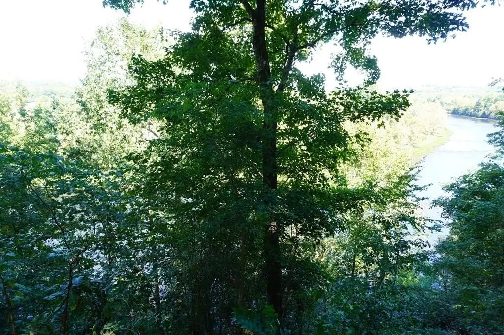 Picture 18