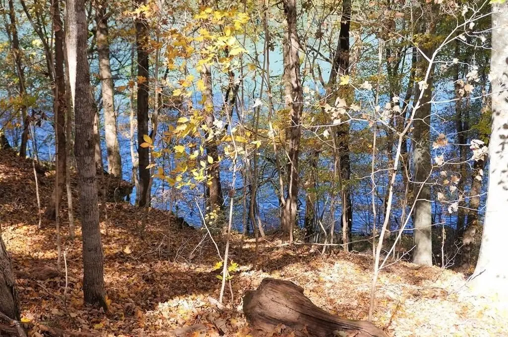 Picture 22