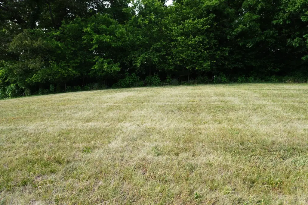 Picture 25