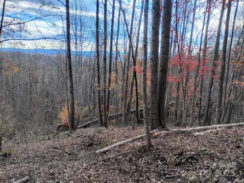 Lenoir Land with Mountain Views