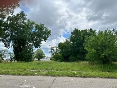 Residential Land in Hamtramck, MI