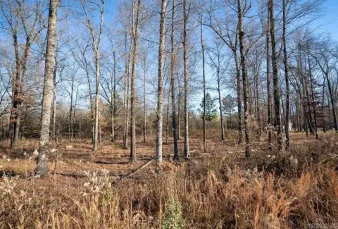 Residential Lot in Greenbrier, AR