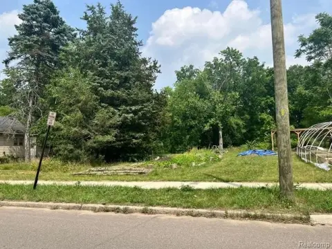 Detroit Vacant Land Opportunity