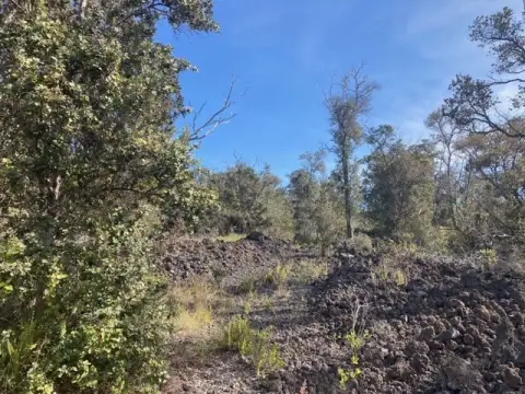 Wooded Lot in Ocean View