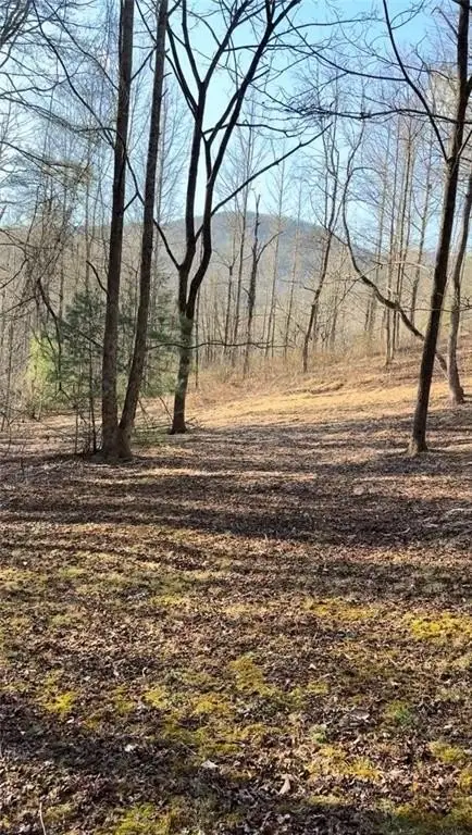 Picture 14