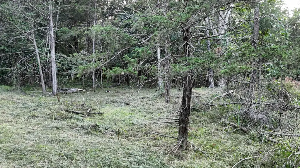 Picture 15
