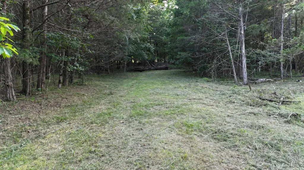 Picture 2