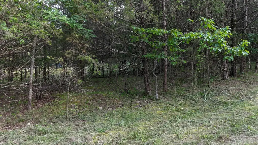 Picture 11