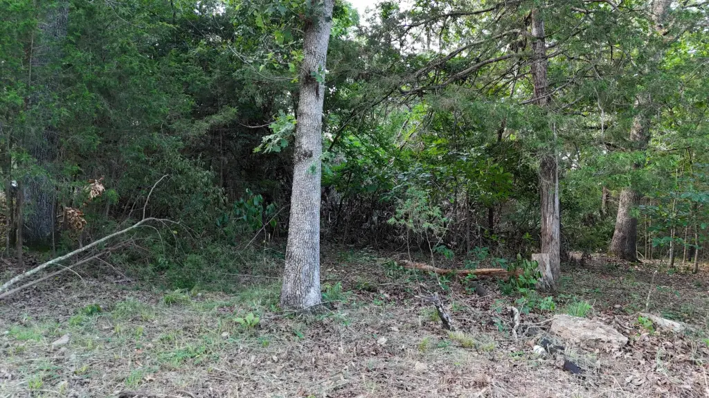 Picture 14