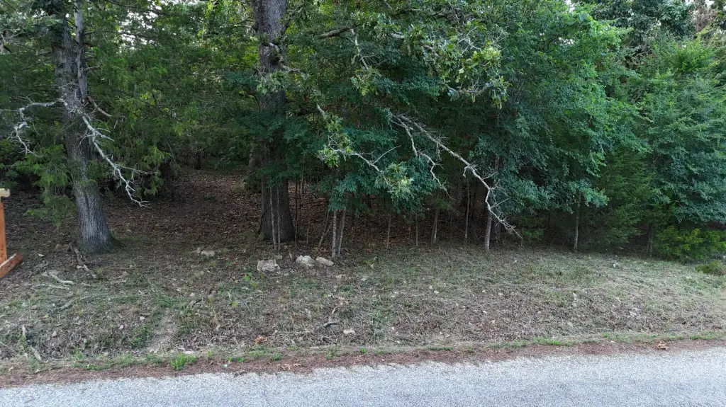 Picture 12
