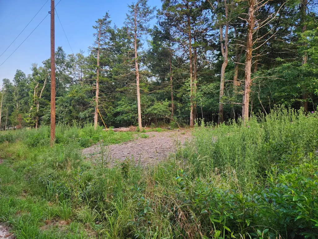 Picture 8