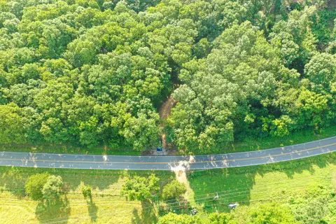 6.5 Acres Wooded Recreational Land