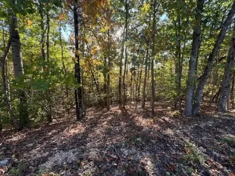 Ross Creek Subdivision Land
