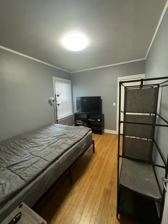 Picture 5