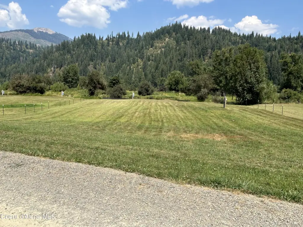 Picture 38