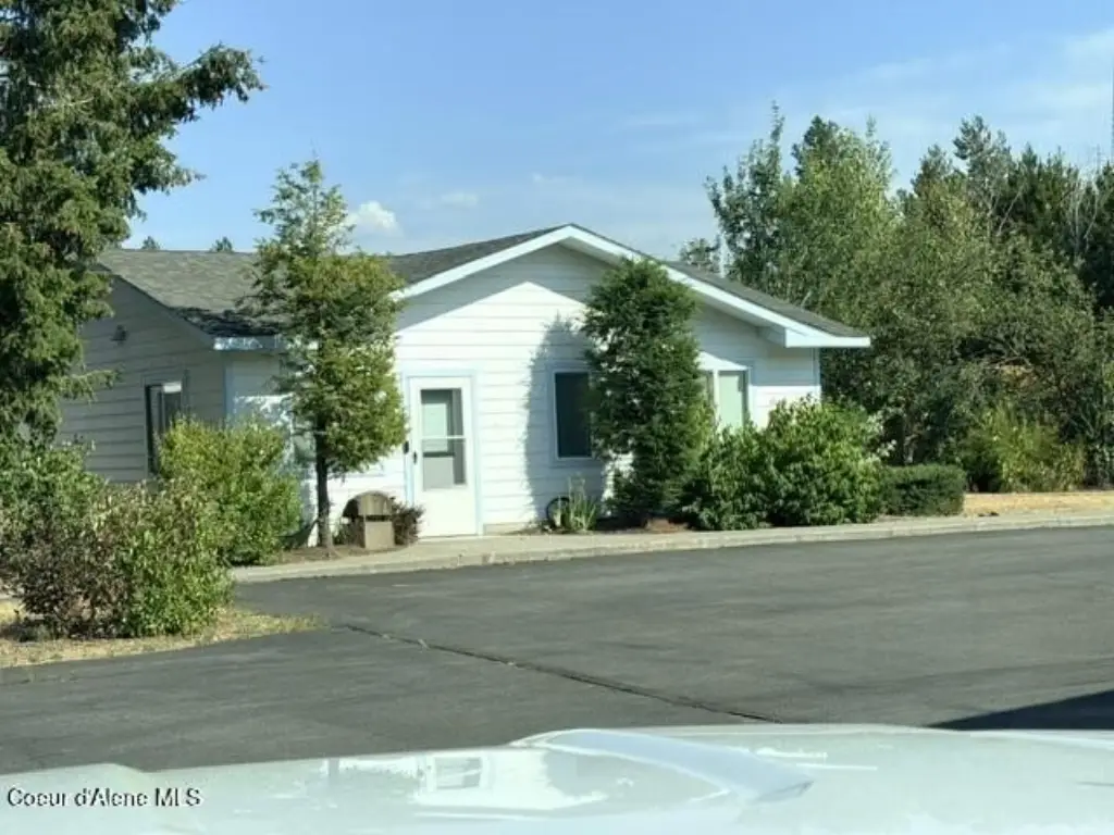 Picture 11