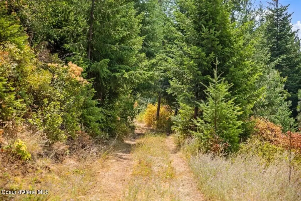 Picture 23