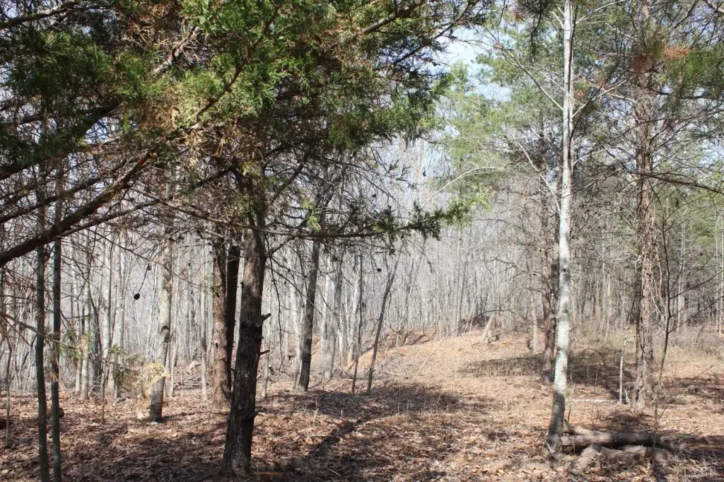 Picture 17