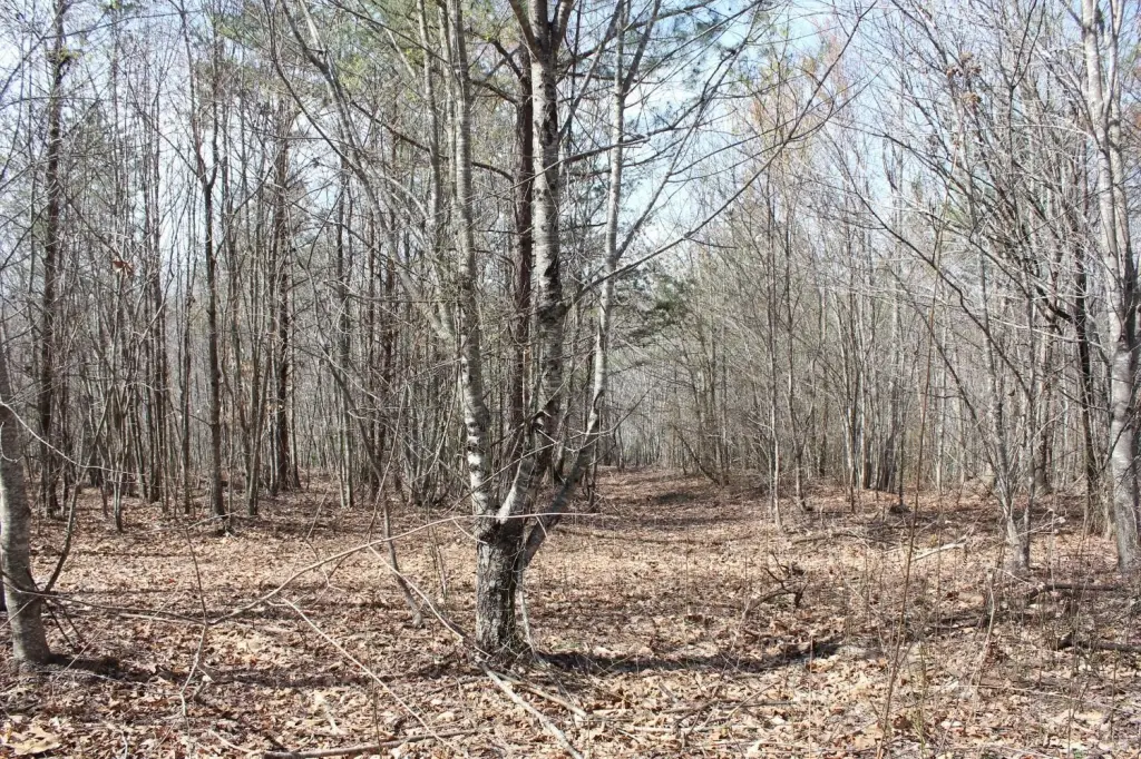 Picture 4