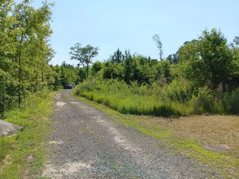 Saint George Wooded Lot