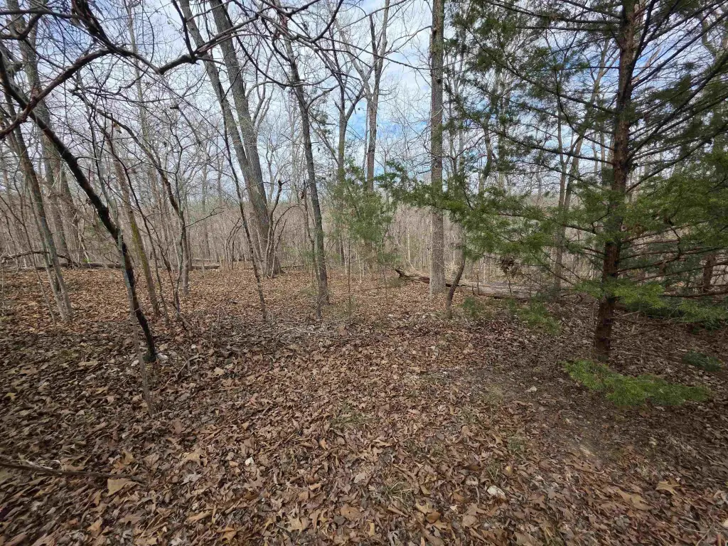 Picture 13