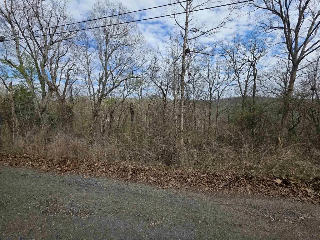 Picture 5