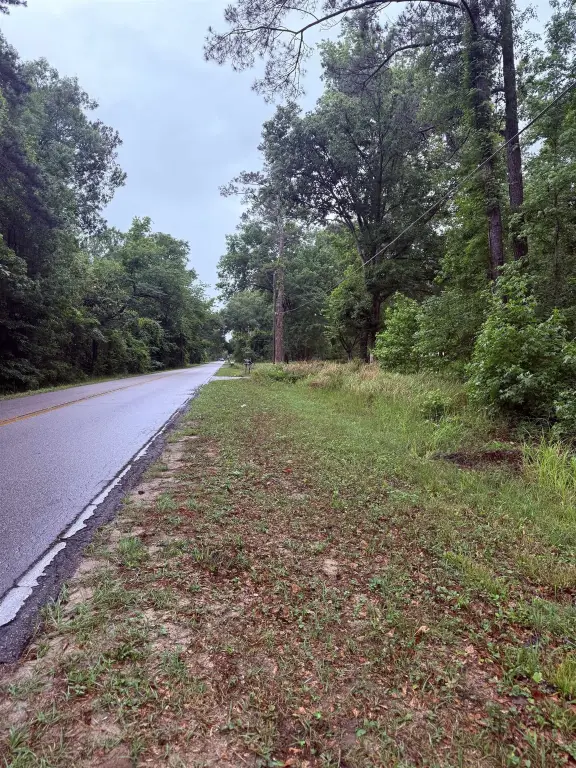 Picture 19
