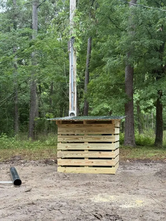 Picture 3