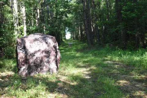 Stephens, AR Hunting and Recreational Land